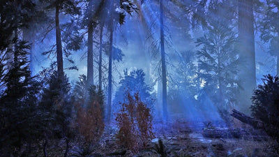 Modular Forest - Horror