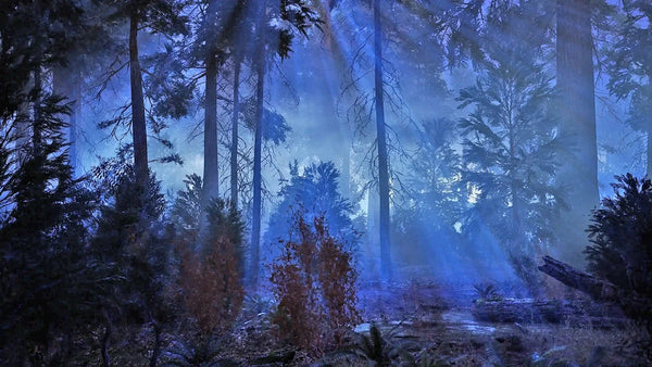 Modular Forest - Horror