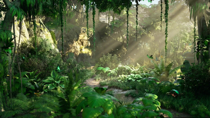 Modular Jungle