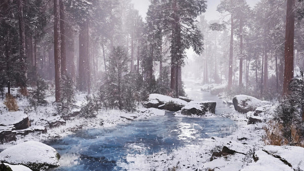 Modular Forest - Winter