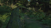 Modular Jungle, animated battlemap pack for Foundry VTT, product trailer