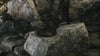 Ancient Monument, animated battlemap pack for Foundry VTT, product trailer