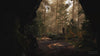 Modular Forest - Day, animated battlemap pack for Foundry VTT, product trailer