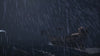 Ship - The Unwanted Daughter, animated battlemap pack for Foundry VTT, product trailer