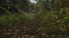 Fall Of Elturel (Wedding, Road and Forest), animated battlemap pack for Foundry VTT, product trailer