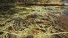 Smuggler Boat Pack, animated battlemap pack for Foundry VTT, product trailer