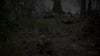 Svalich Road & Woods, animated battlemap pack for Foundry VTT, product trailer
