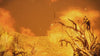 Harumans Hill, animated battlemap pack for Foundry VTT, product trailer